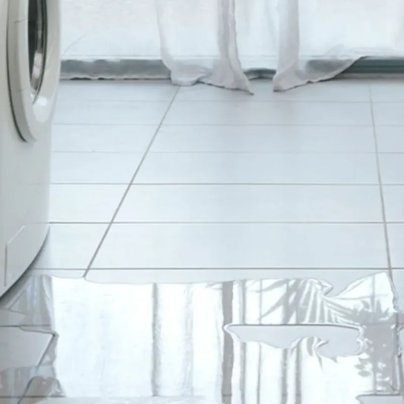 Appliance Leak Cleanup in Blooming Prairie, MN